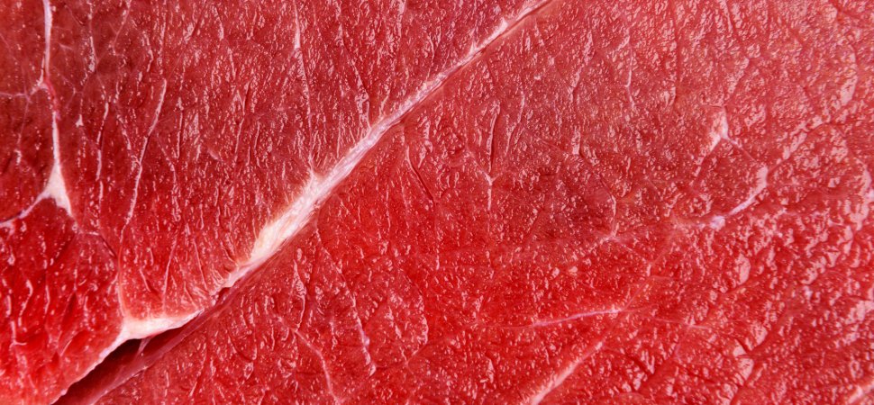 Bans on Lab-Grown Meat May Keep it From U.S. Stores