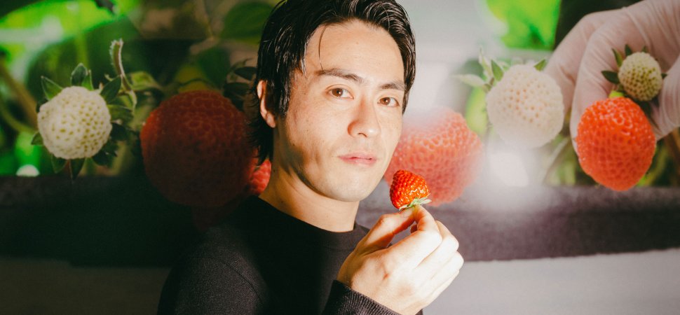This Guy Grows $10 Strawberries Indoors. How He Just Raised $134 Million for His Vertical Farm