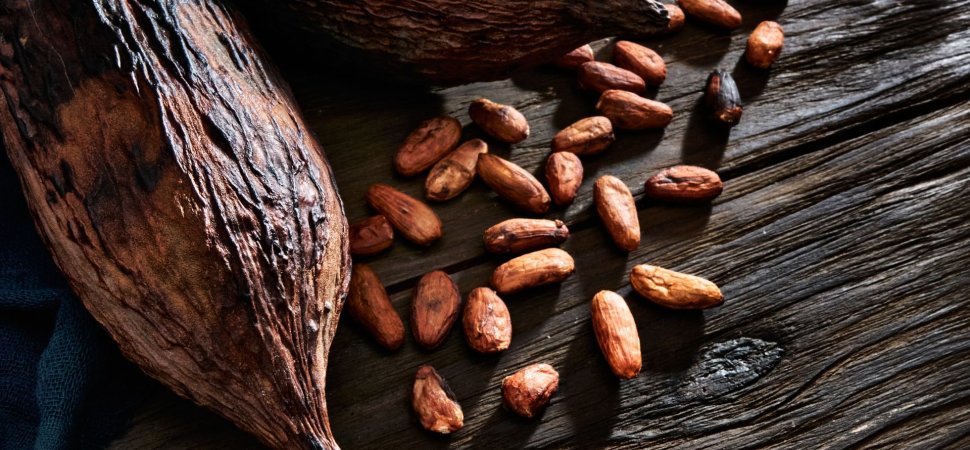 Companies Explore New Ways to Meet Demand for Cocoa