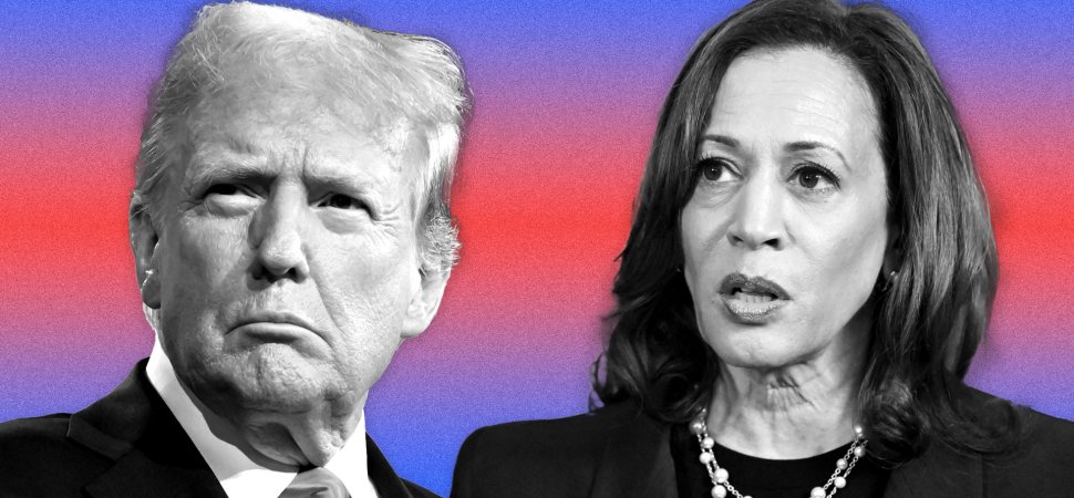 AI Policy: Where Trump and Harris Stand