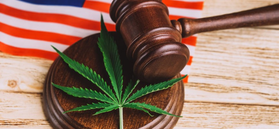 Formal Move to Reclassify Marijuana as a Less Dangerous Drug Marks Huge Drug Policy Shift
