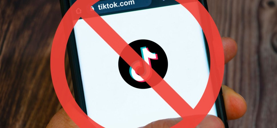 TikTok Sues U.S. to Block Law That Would Ban It