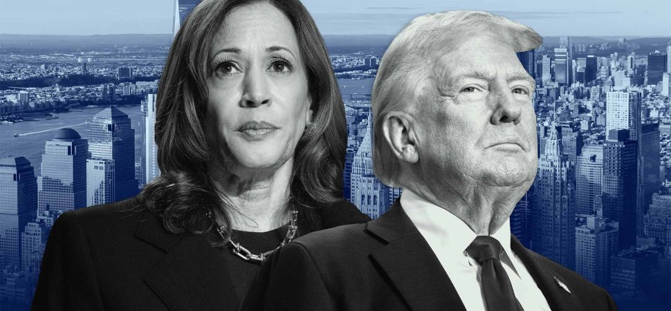 Wall Street Executives Worry About Trump, Stay Wary of Harris