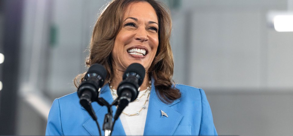 Kamala Harris lays out her economic plan for the 'opportunity economy.' Here's what it could mean for businesses.