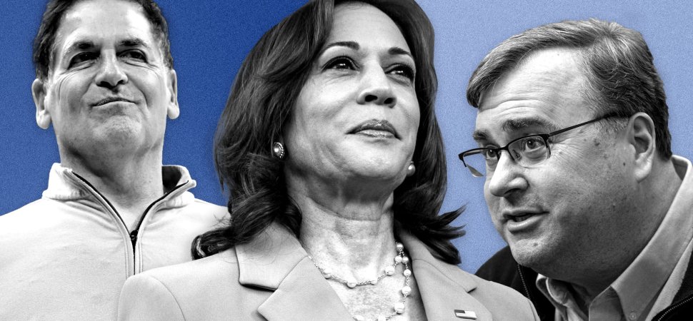 'VCs for Kamala' Attracts Mark Cuban, Reid Hoffman, and More Than 200 Other Venture Capitalists