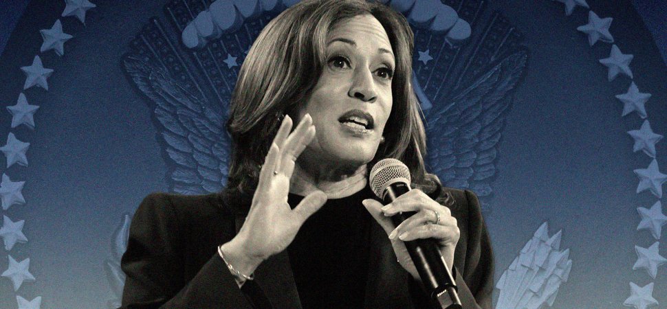 Kamala Harris Finally Released Her Policy Plans. One Founder Calls It the 'Startup Economy Manifesto'