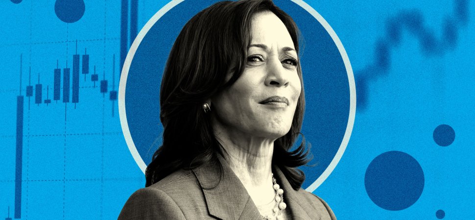 Why a Vote for Kamala Harris Might Lead to Higher Taxes for Small Businesses