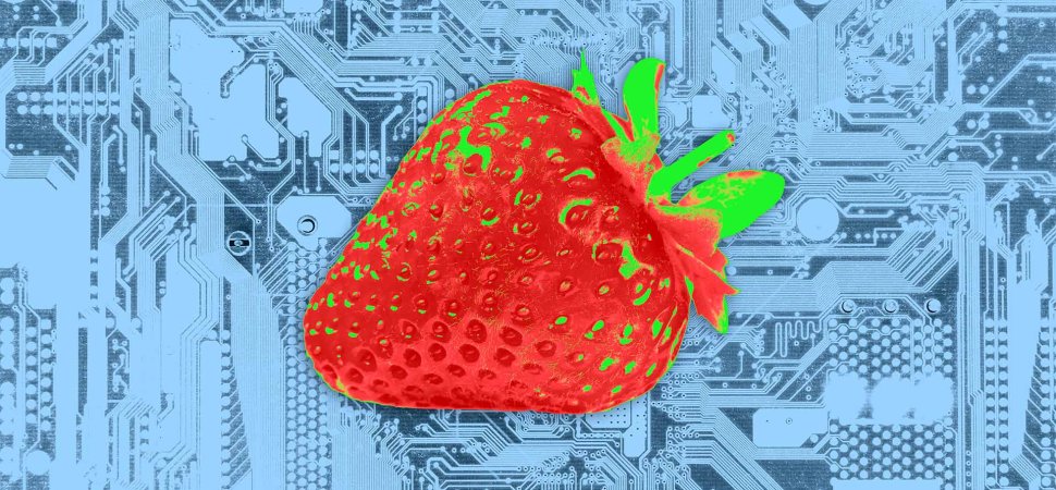 OpenAI to Release New AI Model Strawberry in the Next 2 Weeks: Report