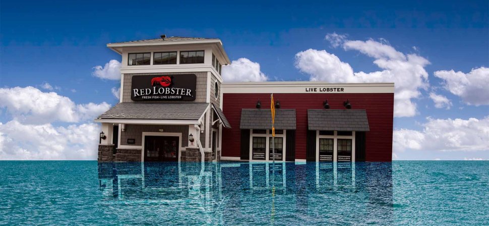 Stormy Financial Seas Push Red Lobster to Close Scores of Restaurants