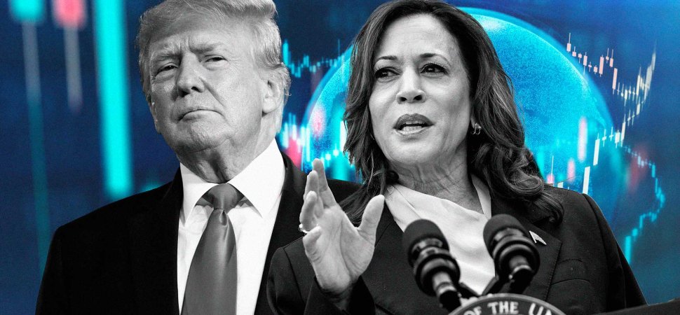 What a Trump or Harris Presidency Could Mean for Global Companies