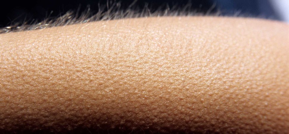 MIT Neuroscience Reveals the Mystery Behind Aesthetic Chills. Here’s the Real Reason You Get Goosebumps