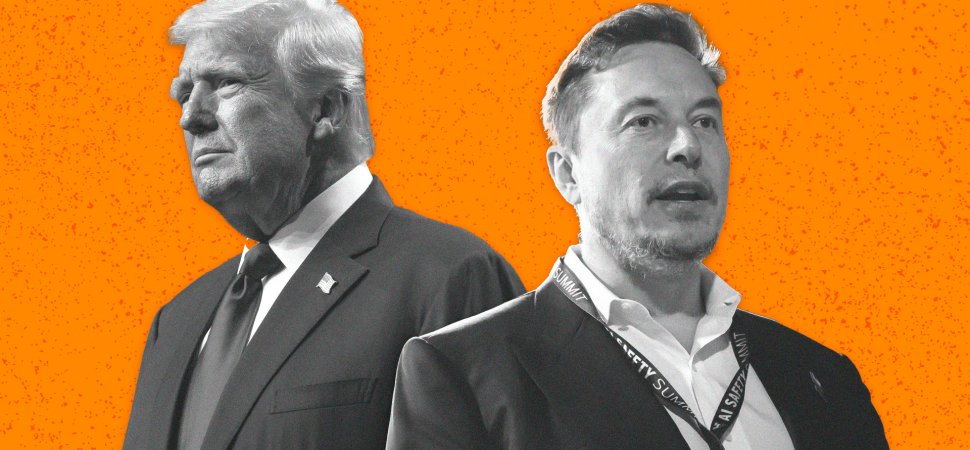 Trump Says Elon Musk Has Agreed to Head a Government Efficiency Commission. But Musk Hasn’t Quite Signed On