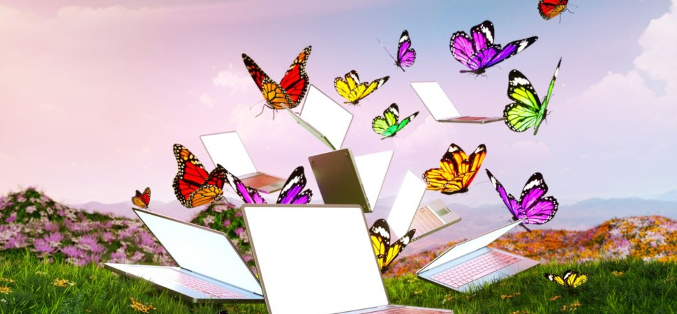Meet Butterflies, the Social Network Where You Chat With Artificial People