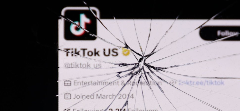 TikTok Wants Fast-Track Schedule for Court Challenges to Ban