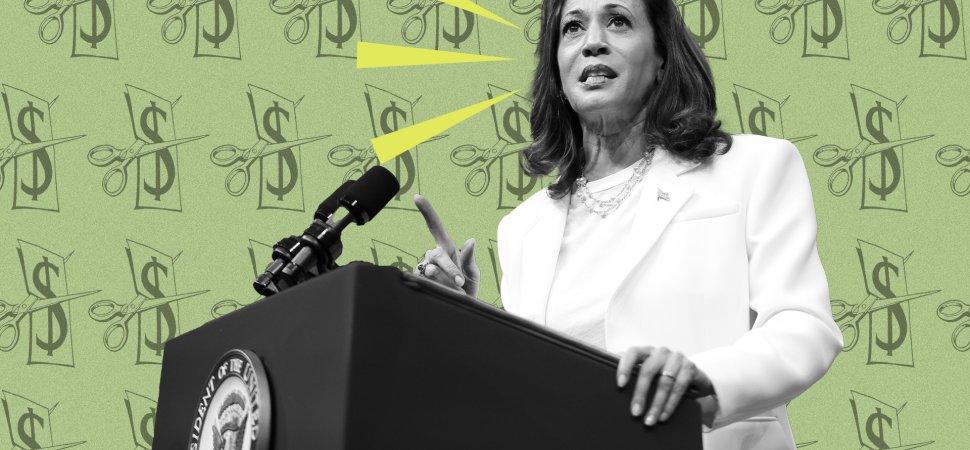 Kamala Harris Details $50,000 Tax Cut for Entrepreneurs, Calling Them ‘the Glue and the Fabric That Holds Communities Together’